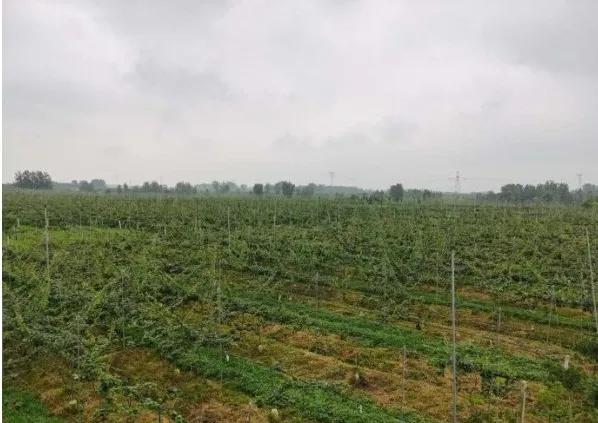 楊凌農(nóng)科，見證小康足跡——2020走出楊凌看示范活動圓滿收官