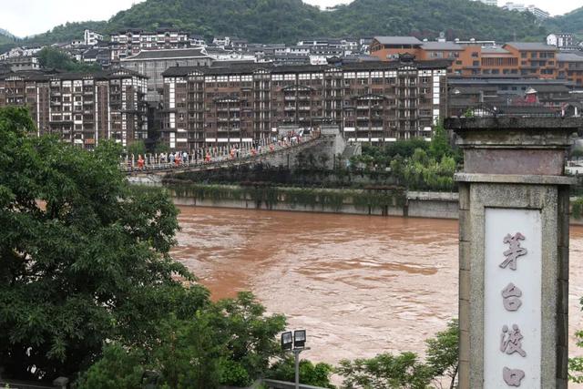 茅台，神水还是祸水？一天蒸发了1.16亿瓶飞天茅台