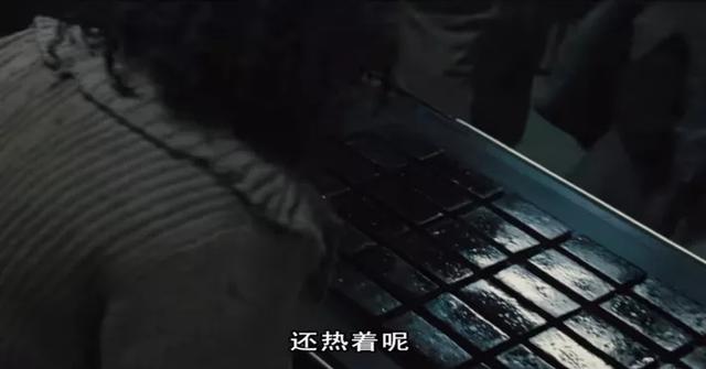 原来蟑螂也做药！一起来了解下有故事的“美洲大蠊”
