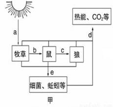 为了利益用电击用药喷，一天几百斤一年上万吨？滥捕蚯蚓引发危机