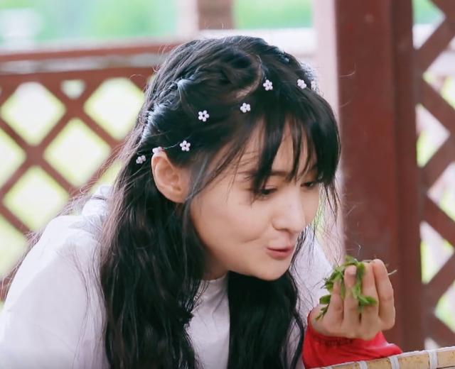 郑爽嗅着茶叶芳香，表情令人陶醉，宛如漫画走出的二次元少女