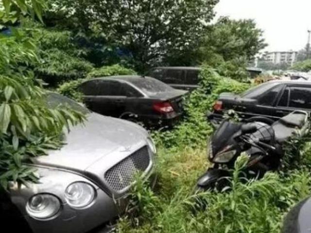 野外惊现豪车“坟厂”，奔驰路虎遍地都是，百万豪车说烧就烧