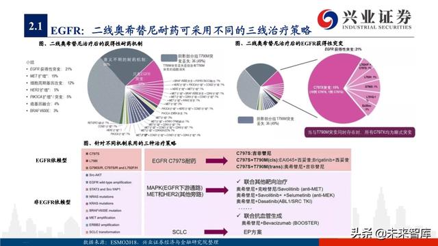 肺癌专题报告：序贯靶向治疗是核心，免疫联合治疗是新常态