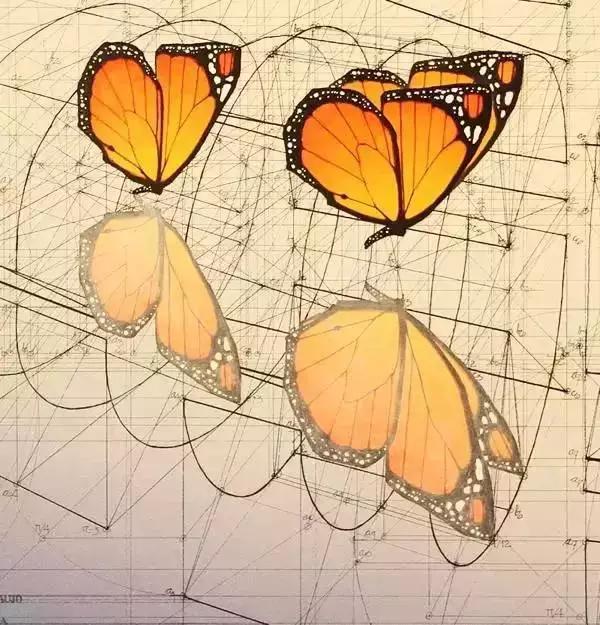 理工男花40年时间，用圆规徒手绘制1000张模型图，网友：太浪漫了