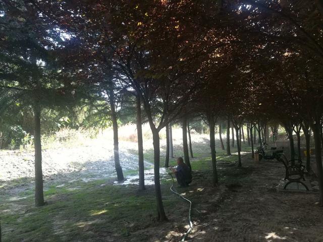 阎良：锦绣公园里的风景！