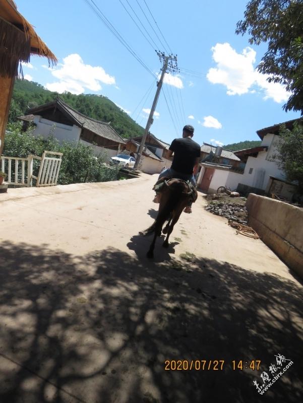 旅游旅行在丽江！人间值得