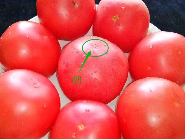 激素西红柿应该怎么辨认？菜农：教你4招，保准不会买到催熟的