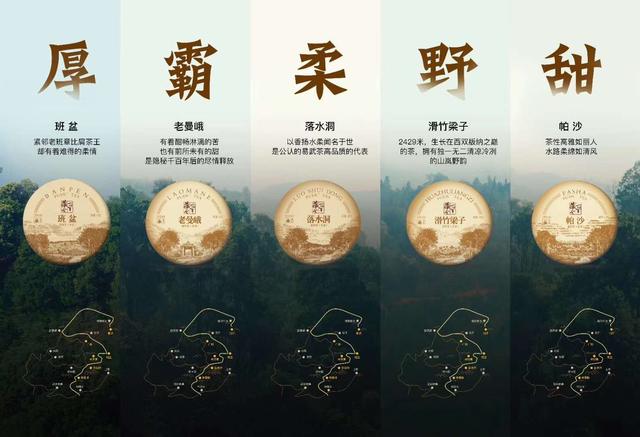 华祥苑茶业首届普洱茶趣味盲品挑战赛（鄂州站）盛大开启