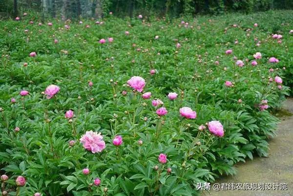 黔北拾味——遵义美食＋民宿体验之旅