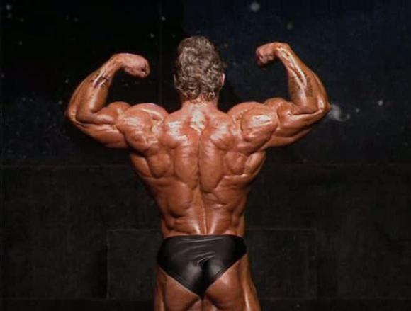 漂亮的背部肌肉，见背识人，你能认出几个呢？