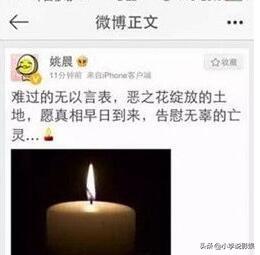 恶之花|仝卓怼姚晨“恶之花”神马情况？ 仝卓公然开喷姚晨惊掉网友下巴！