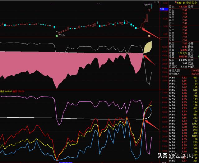 长缨在手狂缚苍龙