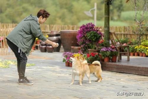 《向往的生活》唯一没打算邀请的人，被黄磊点