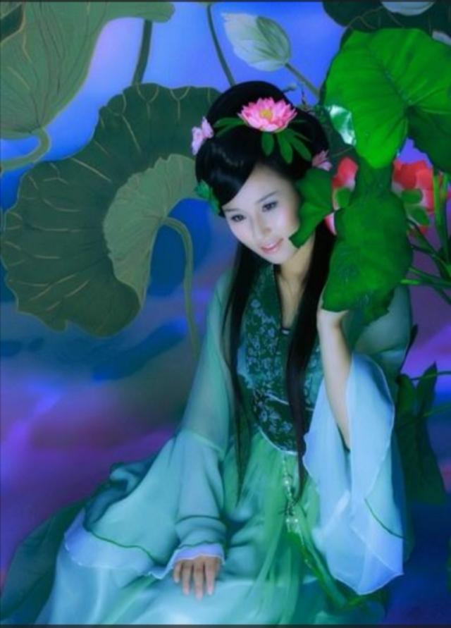 莲，一朵盛开的夏荷