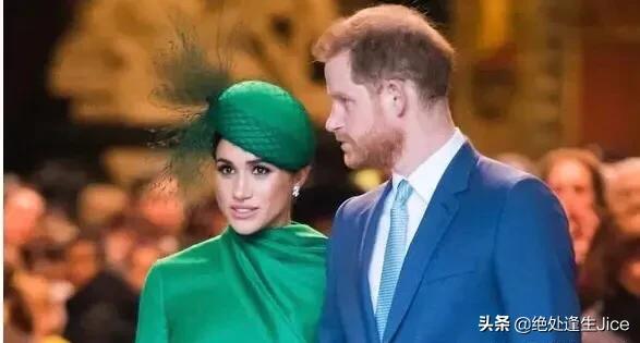 据透露，哈里和梅根的“复仇”之书，是个“巨