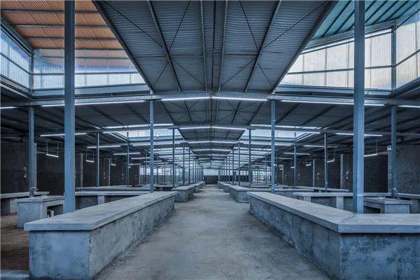 城视时评｜国内外8大优秀农贸市场案例，城市文明与安全的新标志