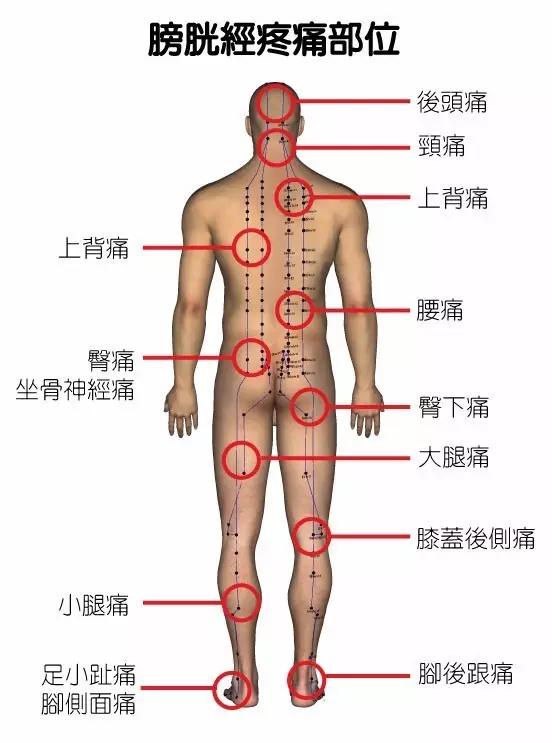 图文详解：中医12经络堵塞疼痛对照表，值得珍藏！