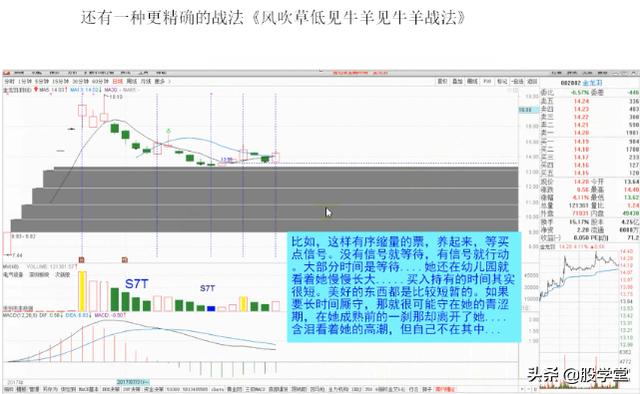 短线经典乾坤阳战法图解，建议收藏