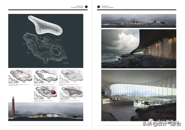 BIG惜败！再牛的方案也比不过一头鲸