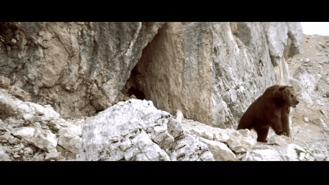 ����9.1�֣���ʵ�¼��ı࣬�ⲿ���ص�Ӱ���ҿ�һ�ο�һ��