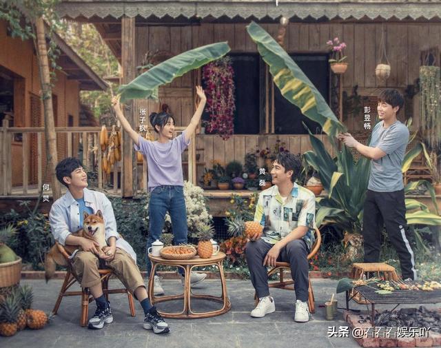 口碑越来越不好的向往的生活，这一期却出奇一致获得好评的原因