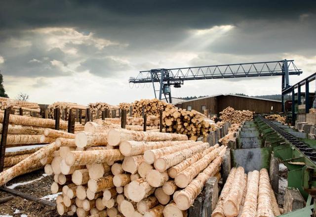 2019全球木材市场展望-第3张图片
