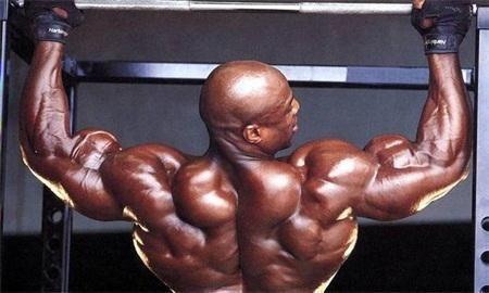 漂亮的背部肌肉，见背识人，你能认出几个呢？