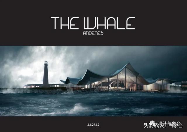 BIG惜败！再牛的方案也比不过一头鲸