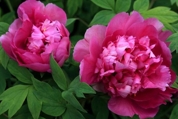 人到中年一事无成，感到茫然无助时，熟读这3句