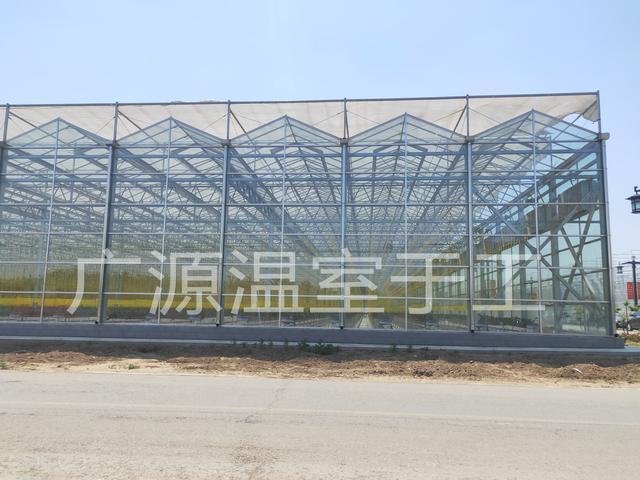 水培蔬菜是福还是祸？现在流行的水培蔬菜该如何设计建造