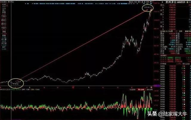 散户如何在股市中，降低“亏钱”概率？