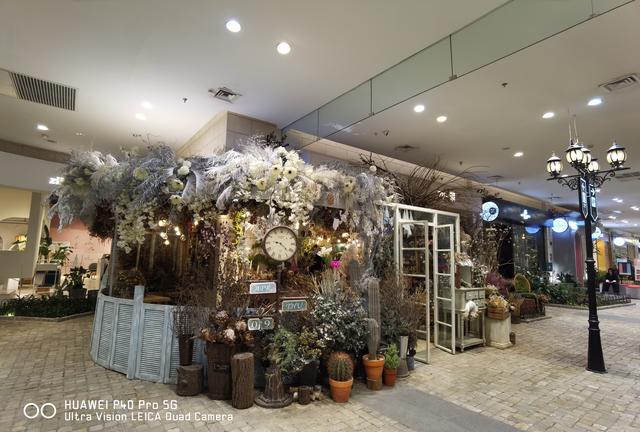 华为P40 Pro体验：用手机拍出好照片，其实真的很