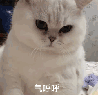 7.24 | 表情包来啦
