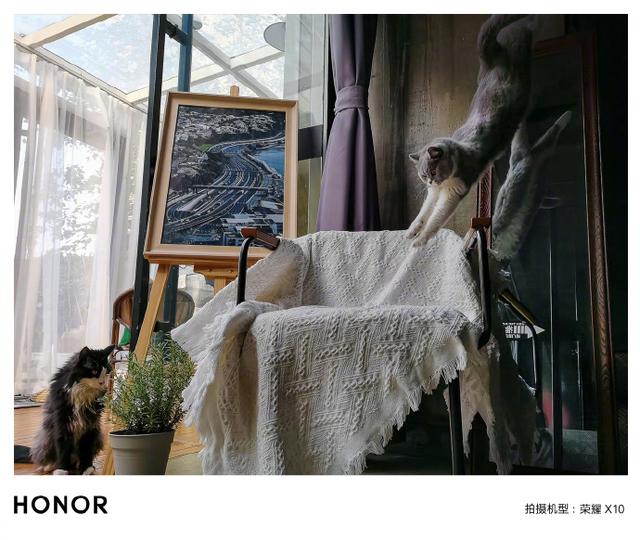 赵明晒荣耀X10 鹰眼级AI抓拍样张：摄影风暴，马上就到