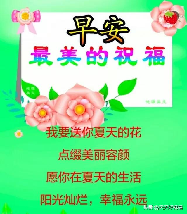 问候|早上好的问候短信 夏天暖心的早安祝福问候语