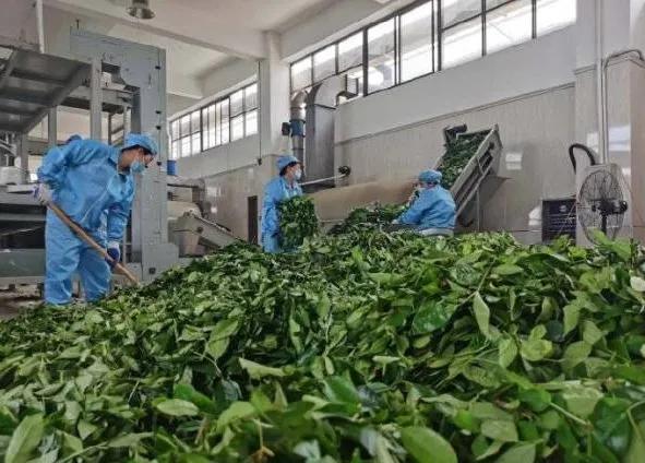 楊凌農(nóng)科，見證小康足跡——2020走出楊凌看示范活動圓滿收官