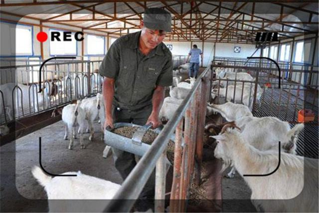 50岁左右的创业失败者，现在有许多事情可以做，