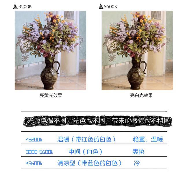 圖立方PT-504B led攝影燈攝像燈 單反攝像機補光燈新聞拍攝常亮燈