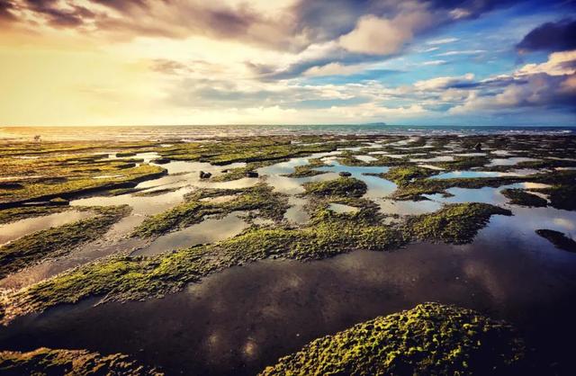 这个夏天值得去的滨海小城，海景秒杀海南厦门