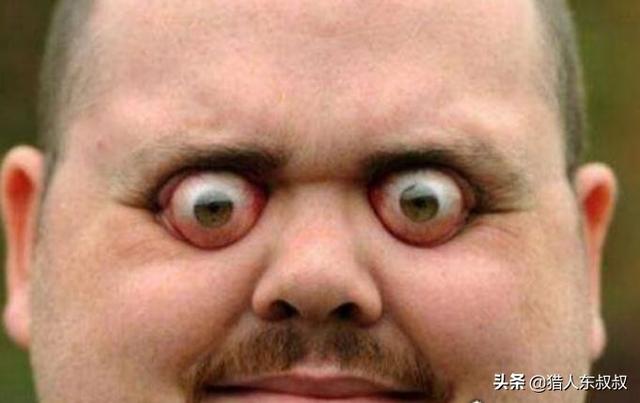 世界吉利斯记录中最让人无语的五项记录，你怎么看