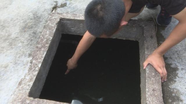 【水井】海南农家水井出现大量桃花水母 据悉桃花水母素有“水中大熊猫”之称