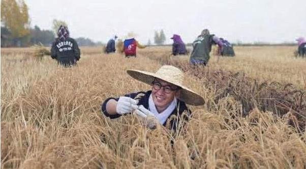 从林心如抹黑周杰的\"罗生门\"，我看到了