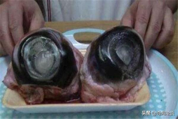 世界十大奇葩食物！“三吱儿”最出名