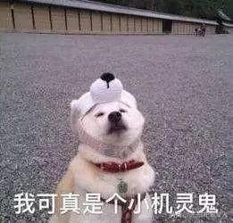 这10款小众纯牛奶，国货之光，我赌100包辣条，第一款你就没喝过