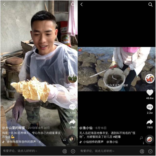 �����Ƴ�����ũ�˼ƻ�����12������������ũ����