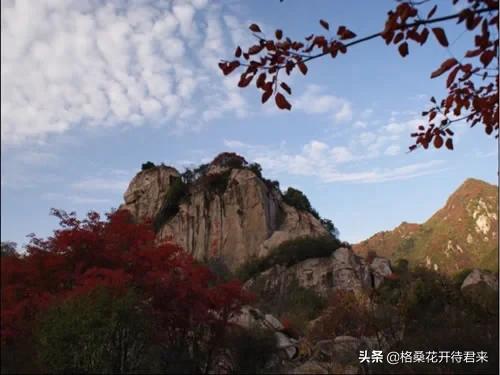 软文推荐：重阳登高翠华山，漫山红叶醉终南