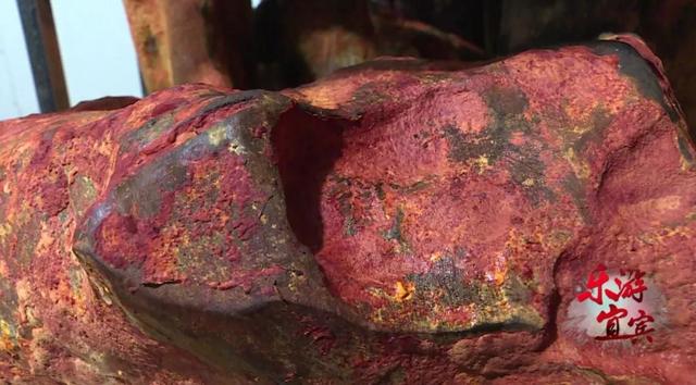 獨一無二！ 只有台灣才有的藥材，宜賓這家山莊無土培植了超多…