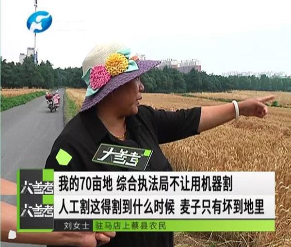 河南回应“70亩小麦要用手割”：坚决反对环保形式主义