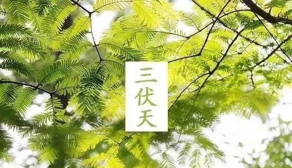 40L(zhng)Ն(dng)һ40(li)
