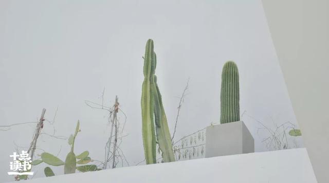 有一種聰明，叫做“冷處理”